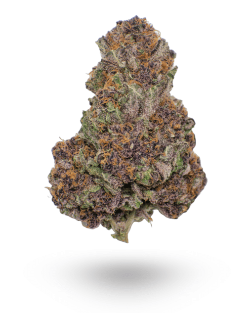 AAAA Amethyst By Kootney Exotics