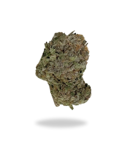 AAA Jack Herer