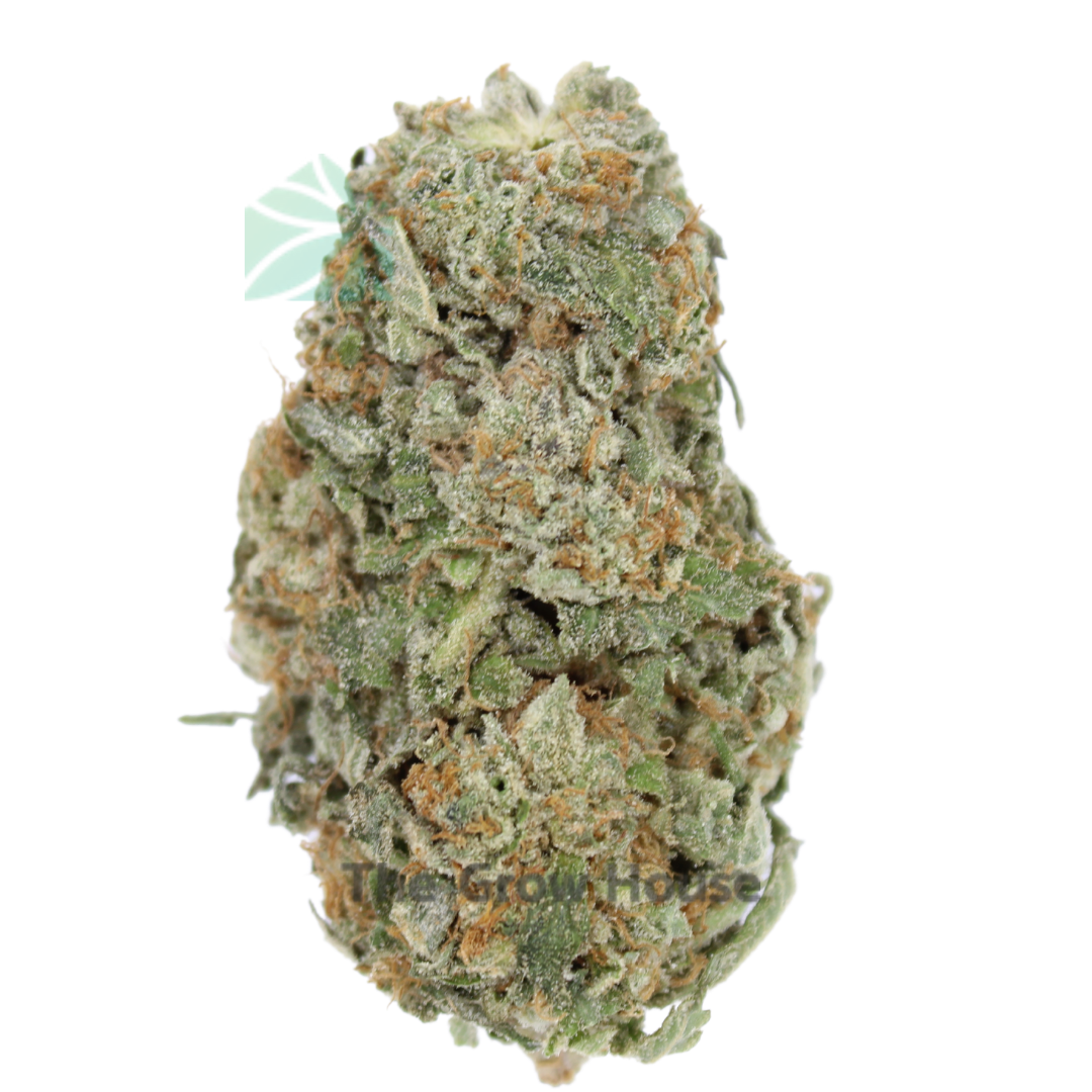 3 Ounce Deal (A) SUPER MARIO