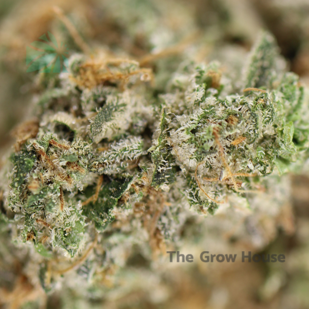 2 Ounce Deal - AAAA BC Rockstar - Image 2