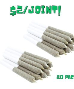 TOONIE DOOBIES (20/Pack) - Updated