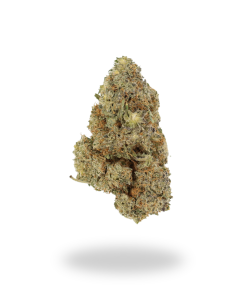 AA+ Zkittles