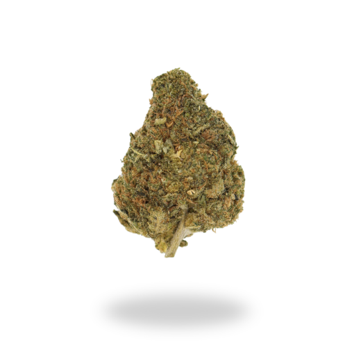 AA Mendo Breath