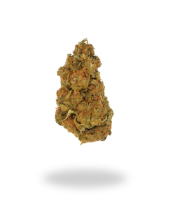 A+ Khalifa Kush
