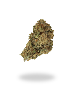 AA Hardcore OG