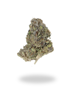 AAA+ Mk Ultra
