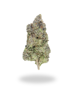 AAAA Platinum Widow