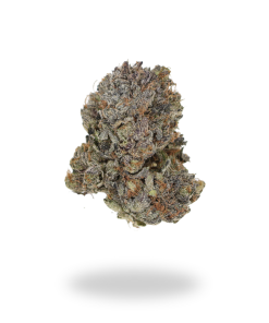 AAAA Black Mamba