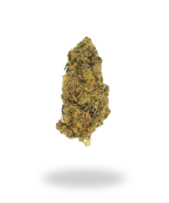 AA Green Dream