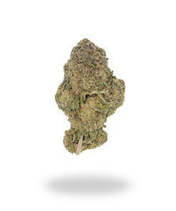 AAA White Widow