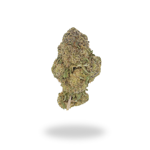 AAA White Widow