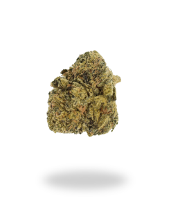 AA Banana Kush