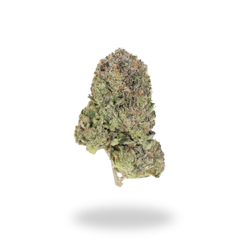 AAAA Gelato 45