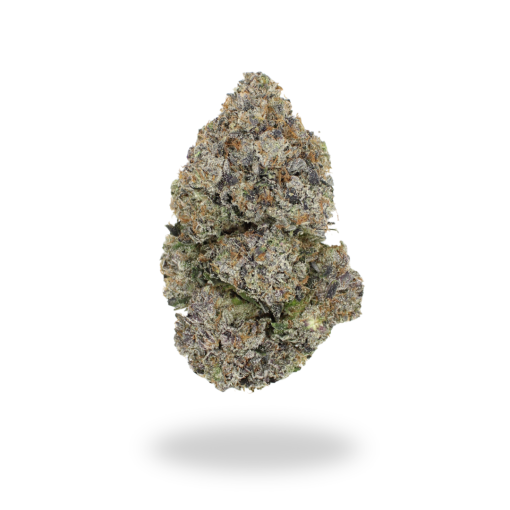 AAAA+ Lizard By Bubba Kings