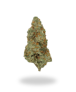 AAAA Monster Cookies