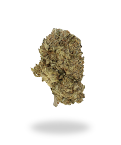 AA Sour Kush