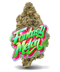 AAAA  Fantasy Melon by Jungle Boys