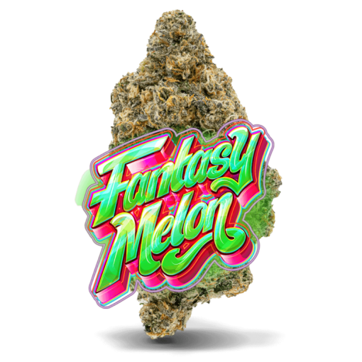 AAAA  Fantasy Melon by Jungle Boys