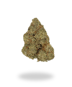 AA Purple Haze