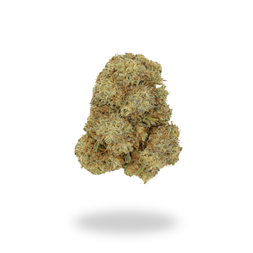 AA Stardawg