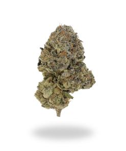 AA Skywalker OG