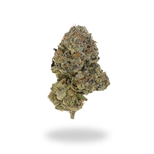AA Skywalker OG