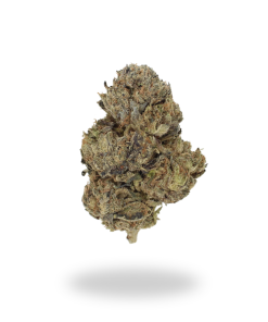 AA Black Cherry Punch