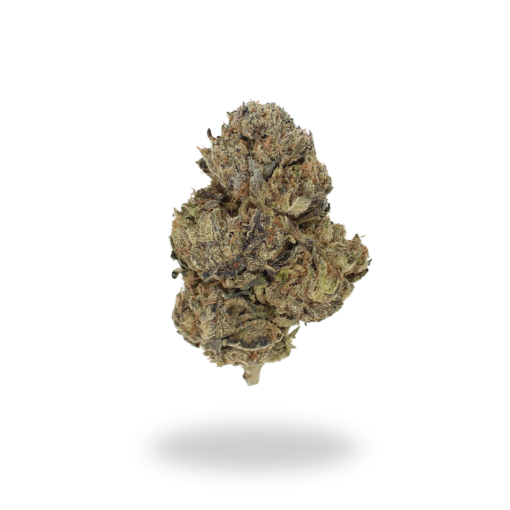 AA Black Cherry Punch