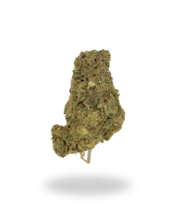 AA Key Lime Pie