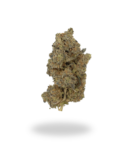 AA Black Diamond