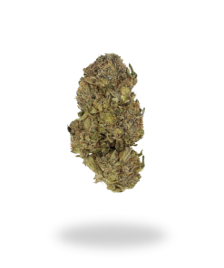 AA Gorilla Grapes