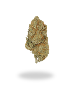 AA Kosher Kush