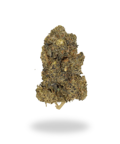 AA Forbidden Fruit