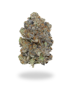 AAAAA Bubba God by Bubba kings