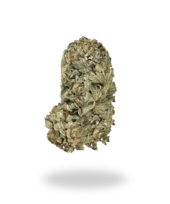 AA Fire OG