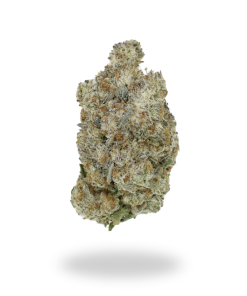 AAAA Cactus Breath