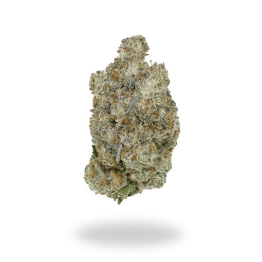 AAAA Cactus Breath