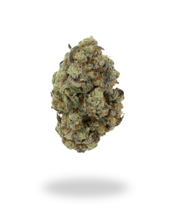 AA Pink Bubba