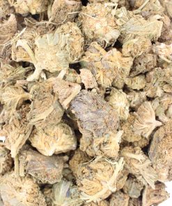 Half Pound Deal: A Tangerine Dream