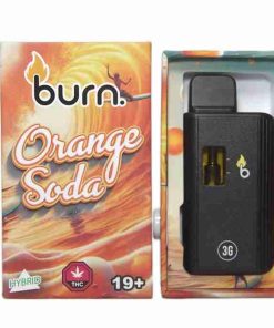 3 Gram Burn Disposable Vapes – Orange Soda Sativa Dom