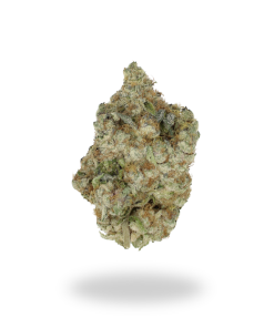 AAAA Gastopia By Gas Godz ⛽