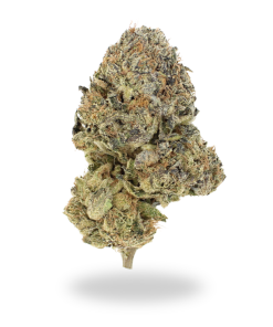 AAAAA Grape Stank By Ostara Mèdical | Karma Cup Winner 2024 🏆