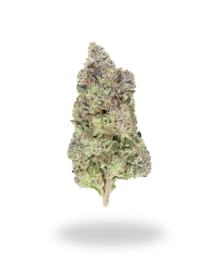 AAAA Permanent Marker By Gas Godz ⛽