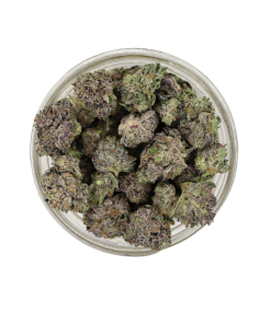 AAAA Mike Tyson Smalls By Bubba Kings